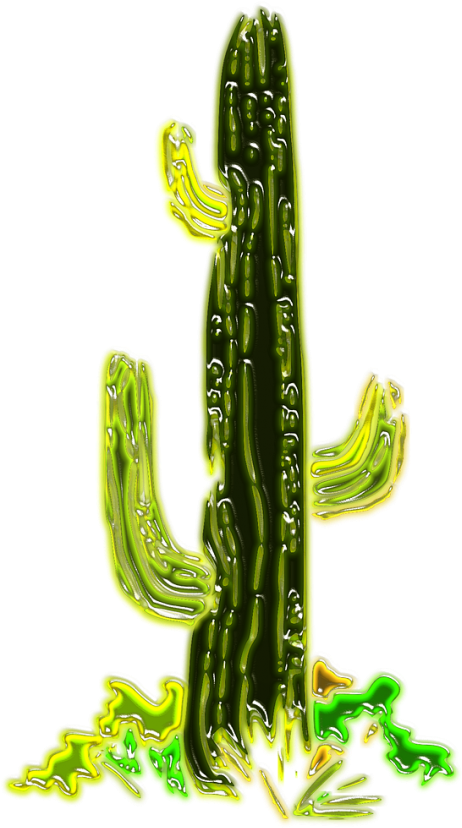 Cactus Desert Png (500x1082), Png Download