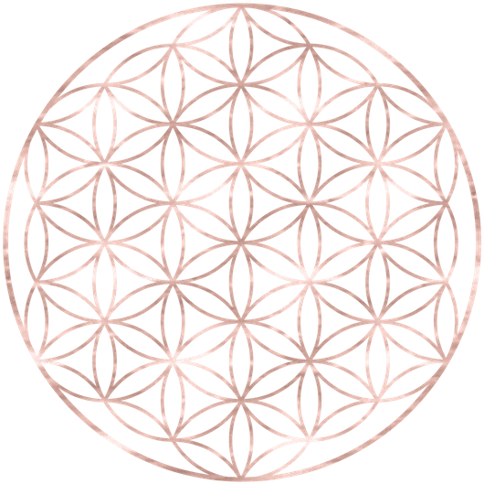Svg Free Library Flower Of Life Comforters By Naturemagick - Flower Of Life Chakras (700x700), Png Download