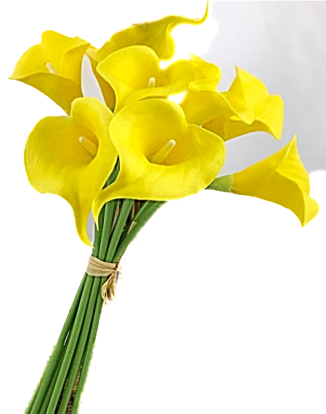 A Bunch Of Yellow Real Touch Calla Lilies - Giant White Arum Lily (600x600), Png Download