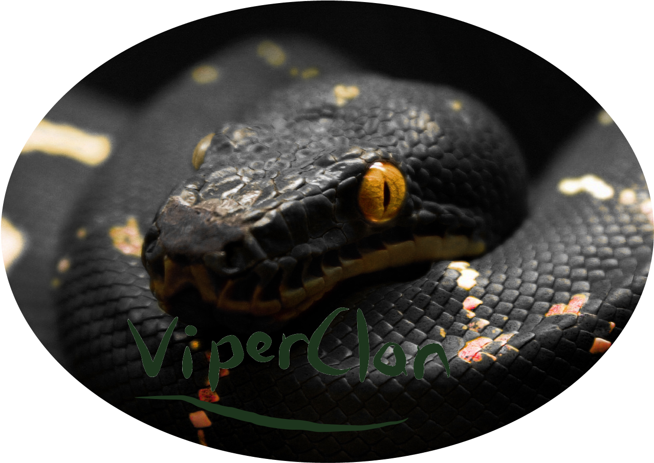 Viperclan Reborn - Black Snake Cover (1600x1200), Png Download