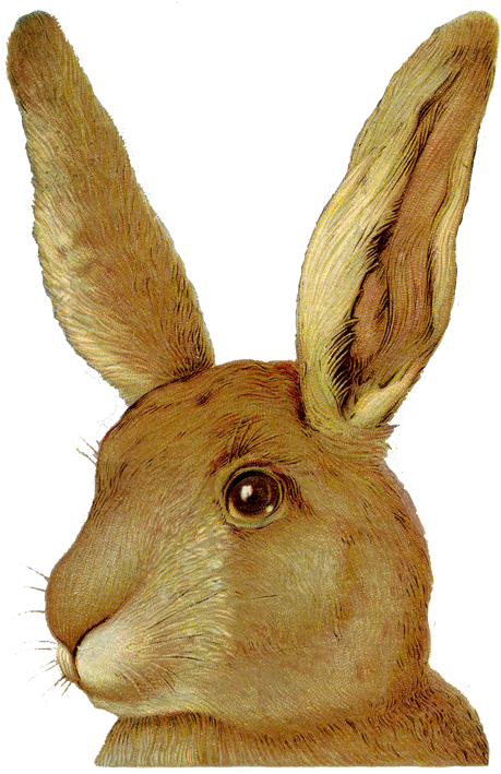 Graphics Fairy - Mistletoe Rabbit (484x750), Png Download