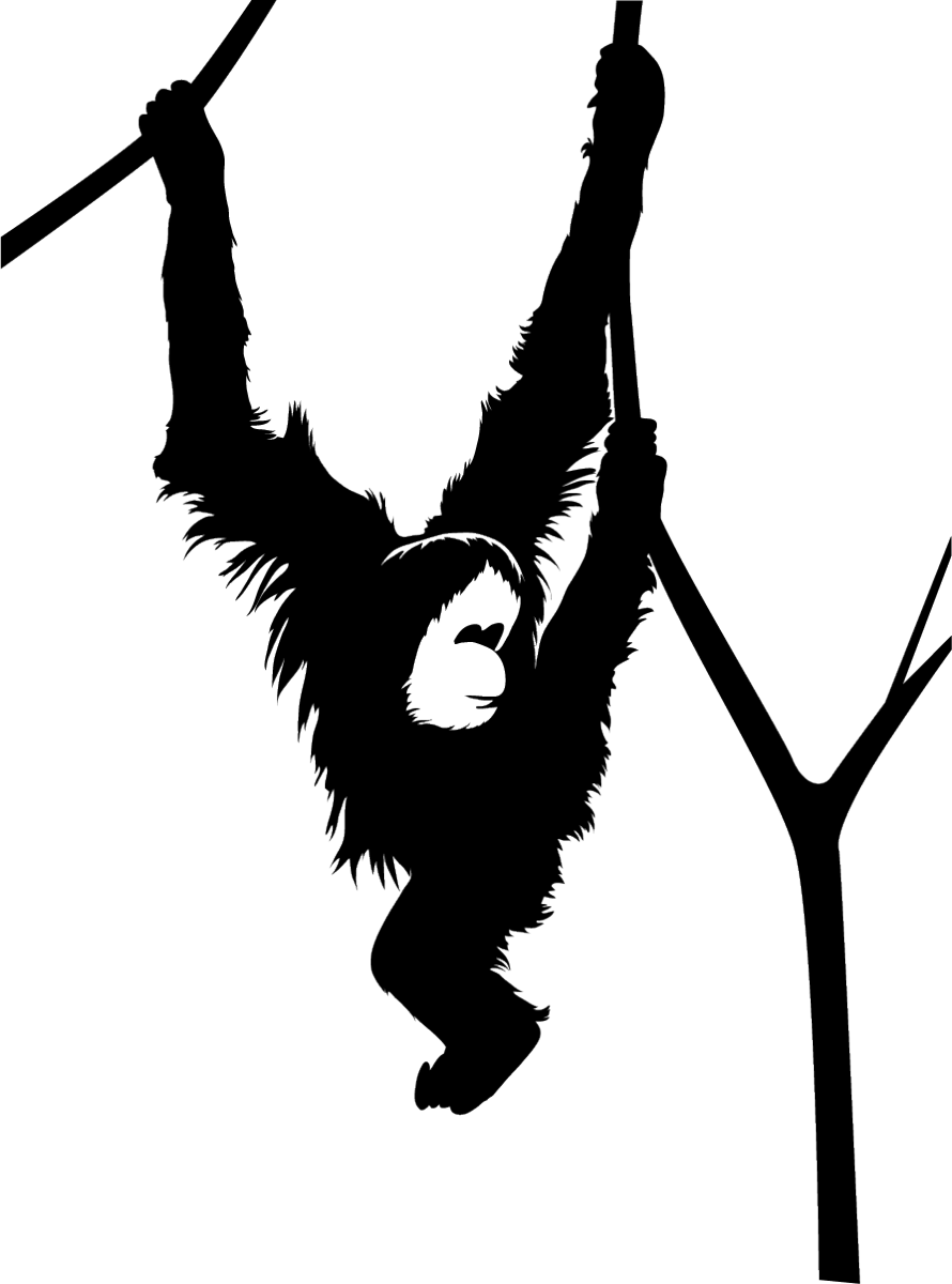 Monkey Hanging From A Tree Black Silhouette (890x1200), Png Download