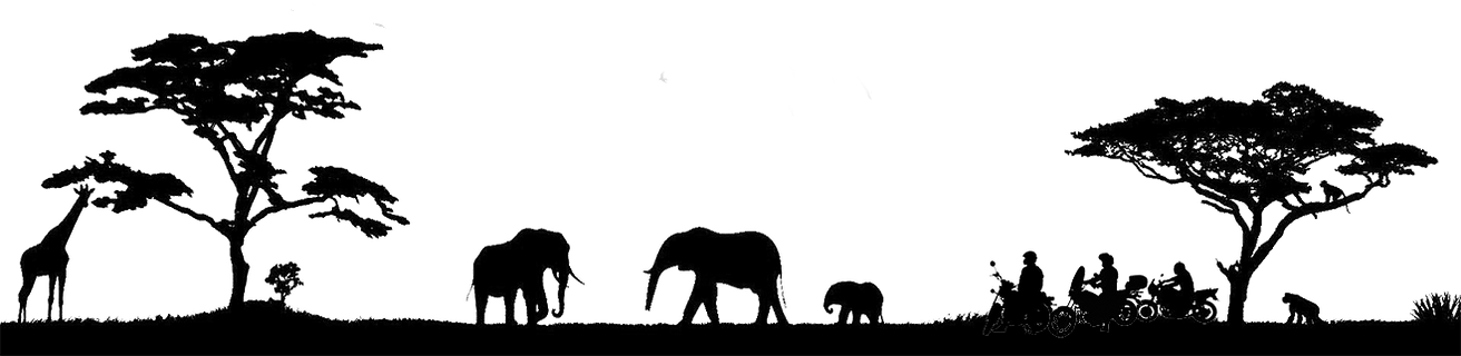 Motorcycle And Overland Renbtals Nd Tours In Southern - Indian Elephant (1312x320), Png Download