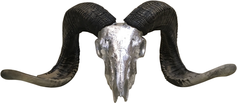 Silver Rams Head With Horns - Horn (1060x461), Png Download