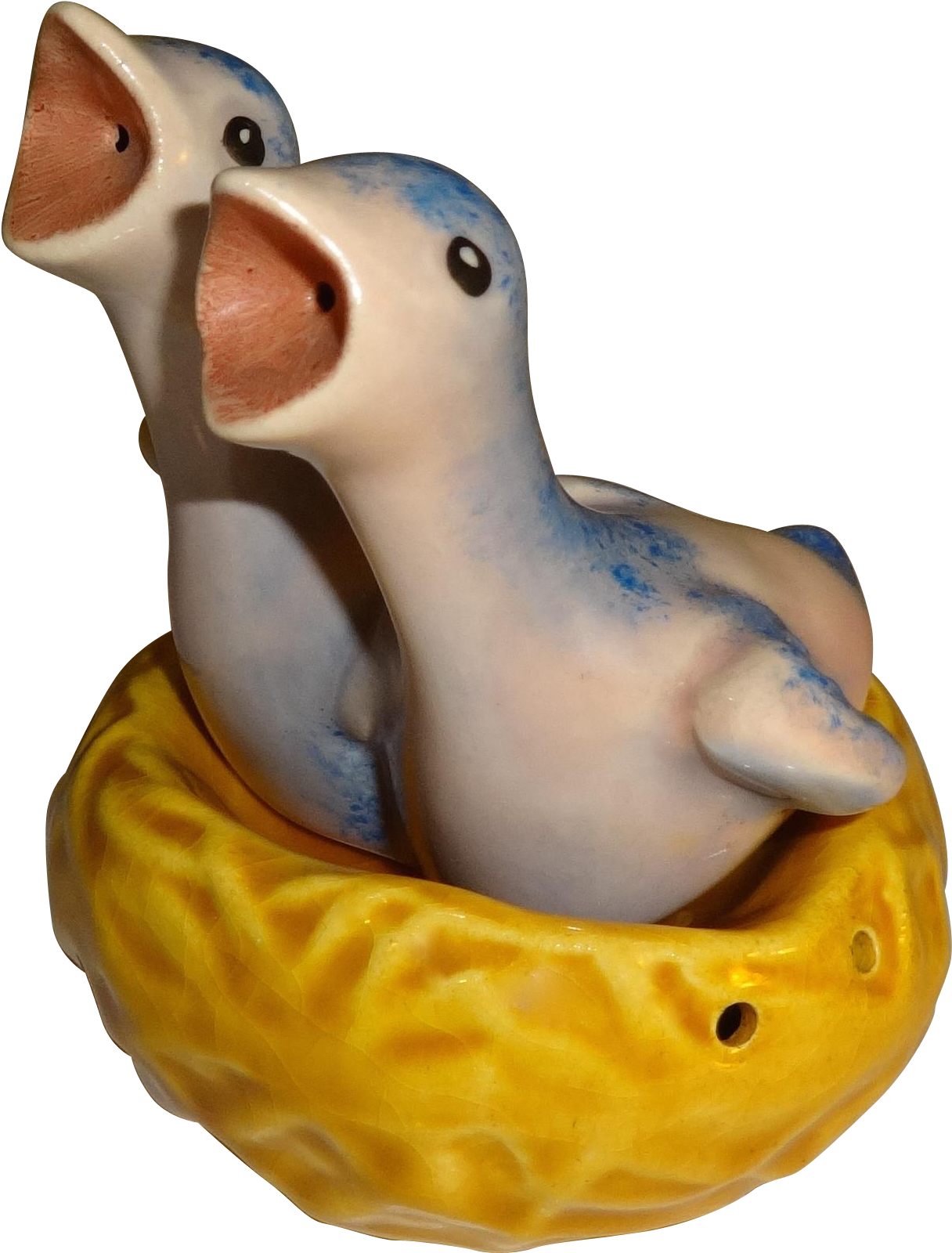 Crying Bird - Duck (1599x1599), Png Download