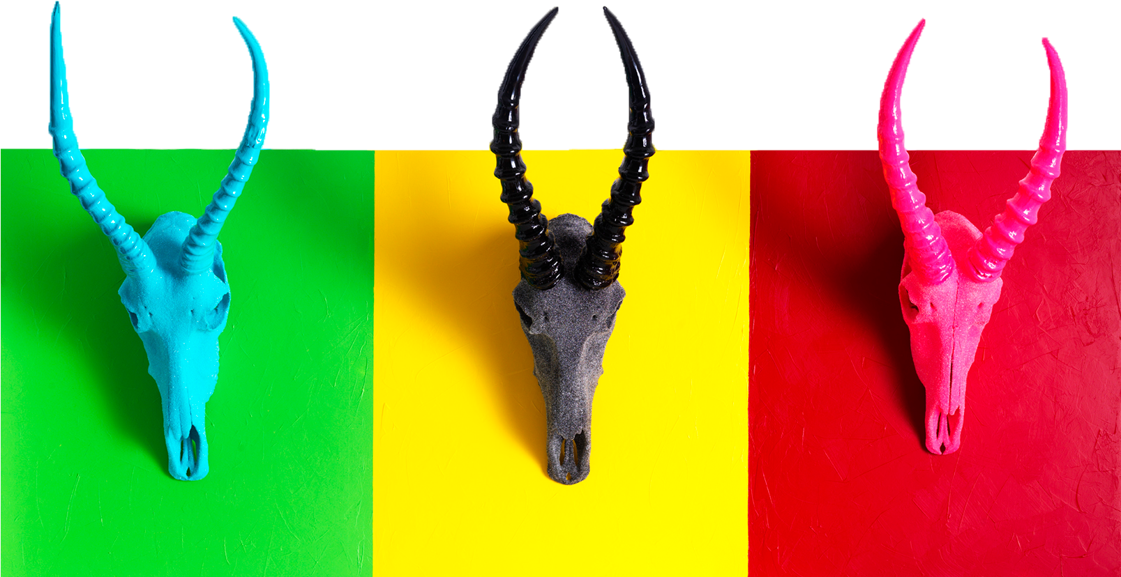 Blesbok Trio - Horn (1606x908), Png Download