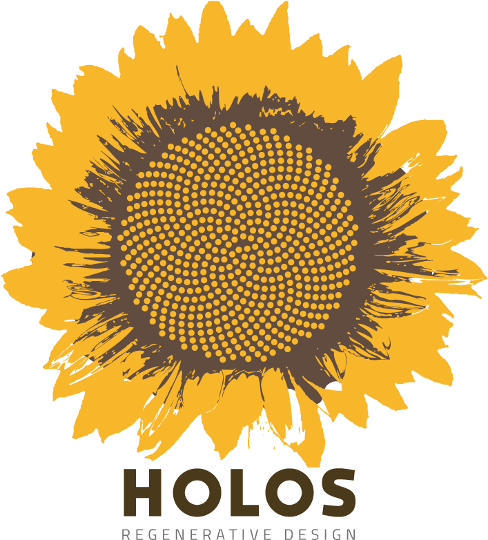 850 X 850 0 - Aesthetic Sunflower Transparent Background (850x850), Png Download