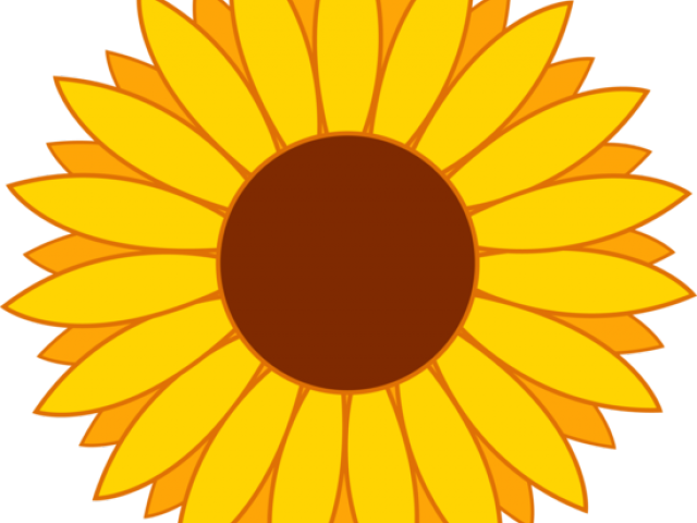 Sunflower Clipart Vector - Sunflower Clipart Png (640x480), Png Download