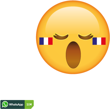Erstauntes Emoji Mit Erschrockenem Mund Und Frankreich - Smiley (1200x628), Png Download