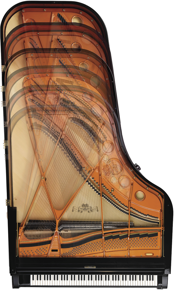 Construction And Materials In The Soundboard And Bridges, - Schimmel Grand Piano K175 (731x1219), Png Download