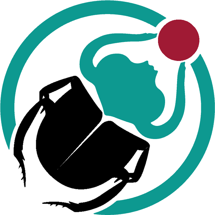 Zillow To Start Purchasing, Offering Houses In Dallas - Illustration (747x744), Png Download