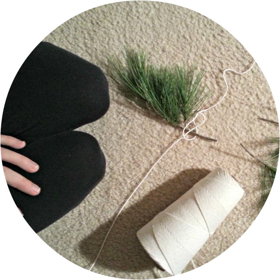 20151130 190810 - Sweet Grass (1000x1000), Png Download