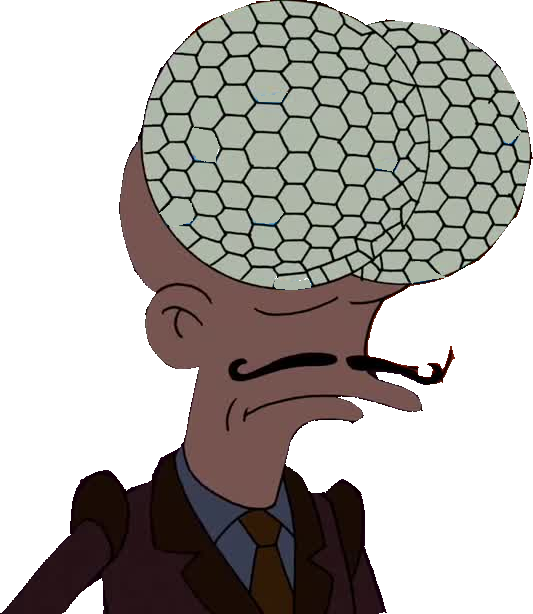 Fly Mutant - Fly Mutant Futurama (533x614), Png Download