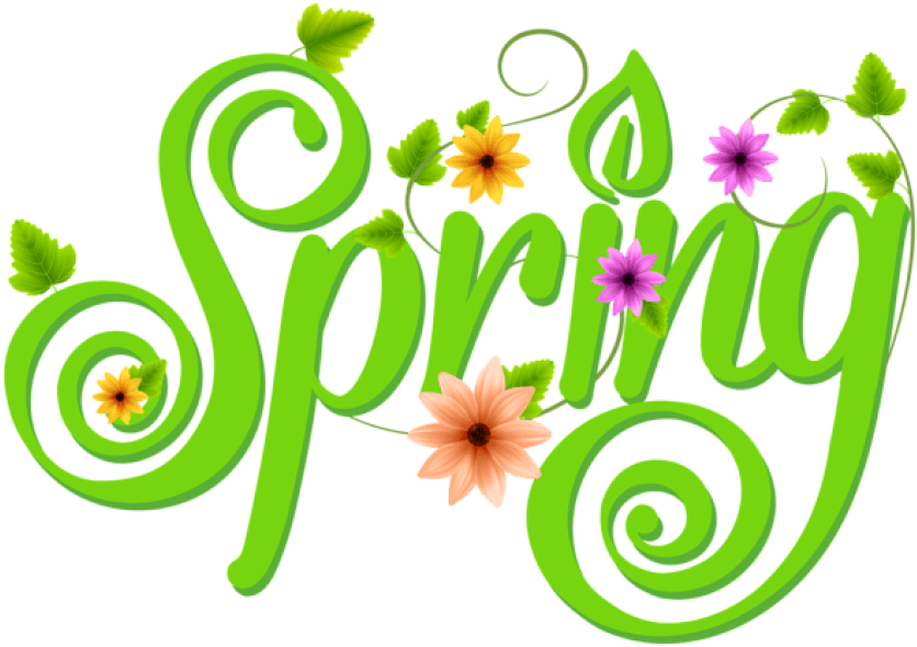 Free Png Download Spring Decoration Png Images Background - Transparent Background Spring Clipart (850x598), Png Download