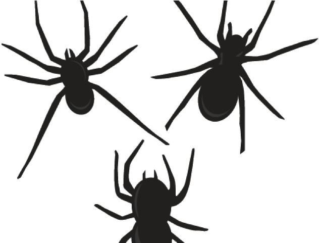 Arachnid Clipart Cute Spider - Insect (640x480), Png Download