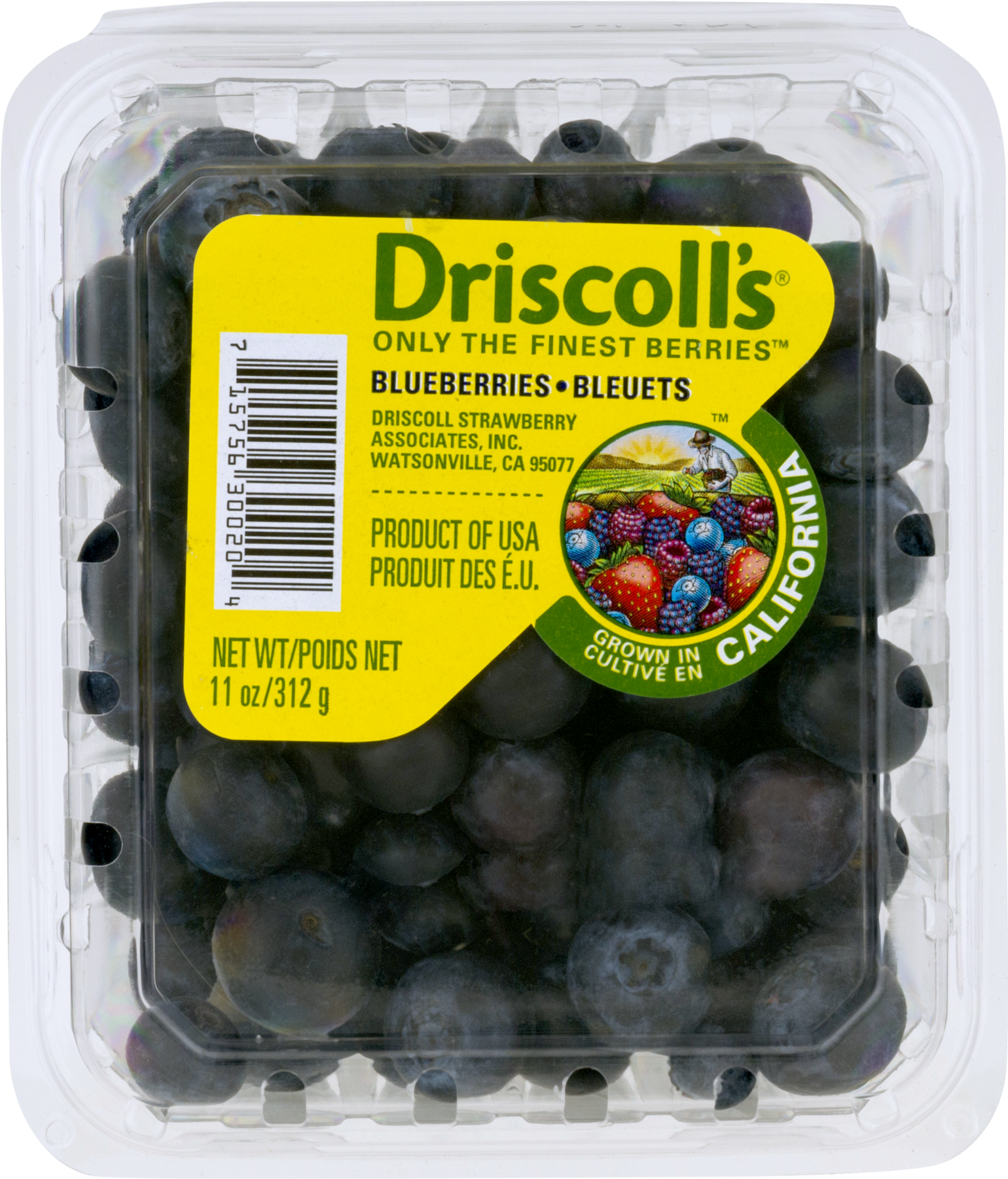 Driscoll Jumbo Blueberry (1800x1800), Png Download