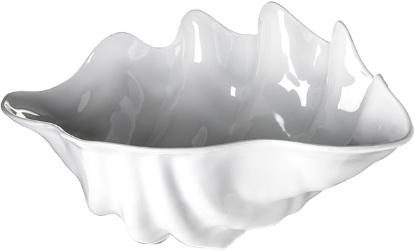 Carlisle Buffet Clam Shell - Conch (648x648), Png Download