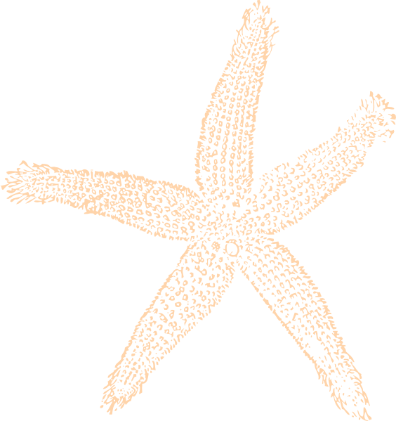 Free Vector Star Fish (564x599), Png Download