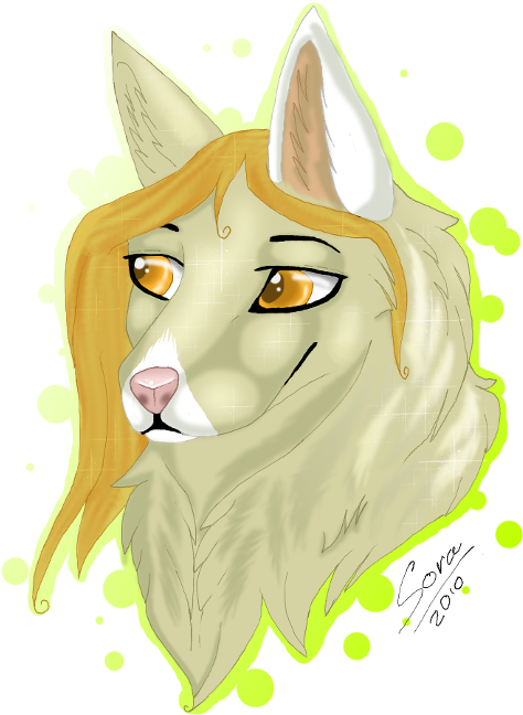 Yellow Wolf Photo - Photobucket Icon (536x668), Png Download