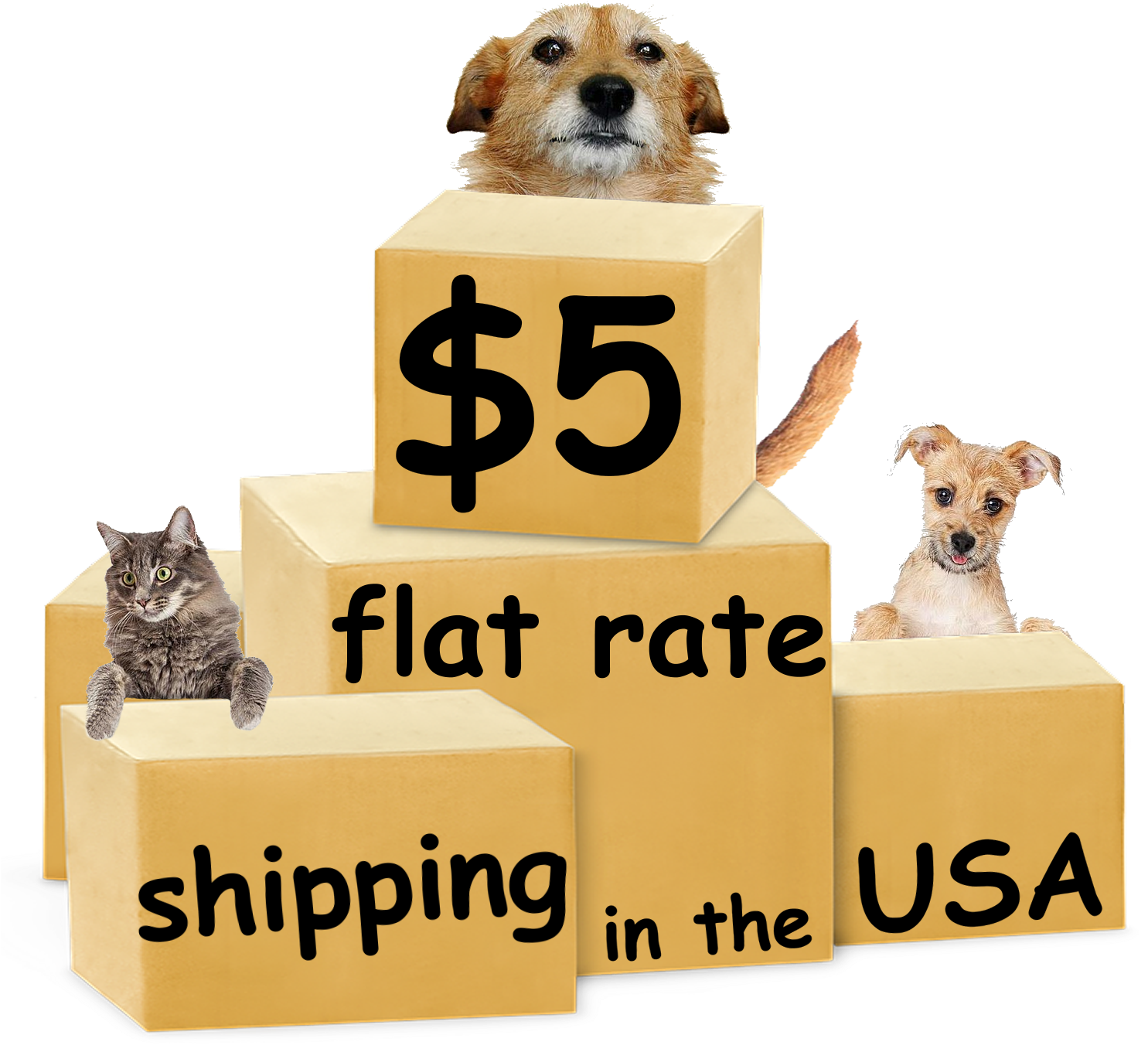 $5 Flat Rate Shipping - Aes Philippines (1522x1400), Png Download