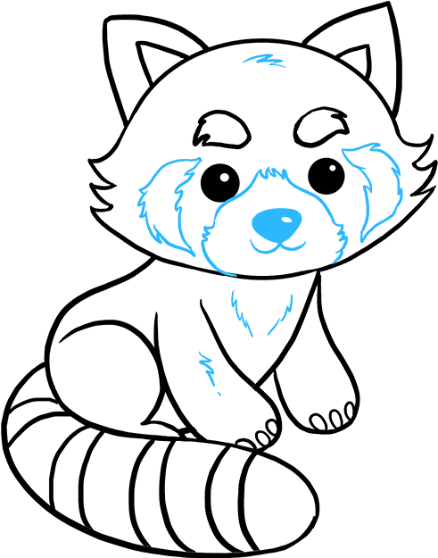 How To Draw Red Panda Easy Red Panda Drawing Full Size Png Download Seekpng