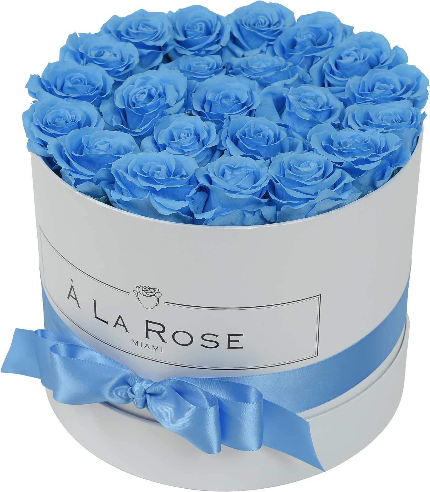 Orbdeluxe- Baby Blue Roses - Hydrangea (2000x2000), Png Download