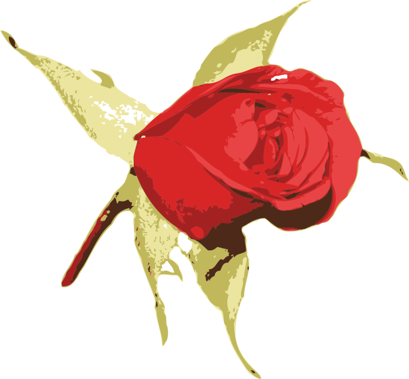 Garden Roses Blue Rose Flower - Clip Art (810x750), Png Download