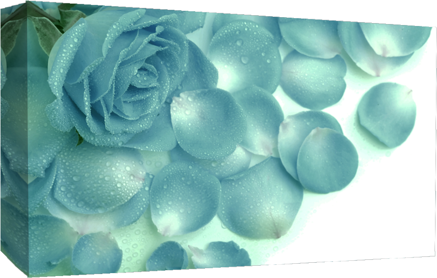 Blueroseraindropsmall - Beautiful Rose (932x573), Png Download