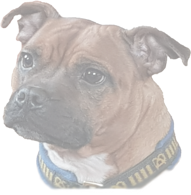 Boxer (645x637), Png Download