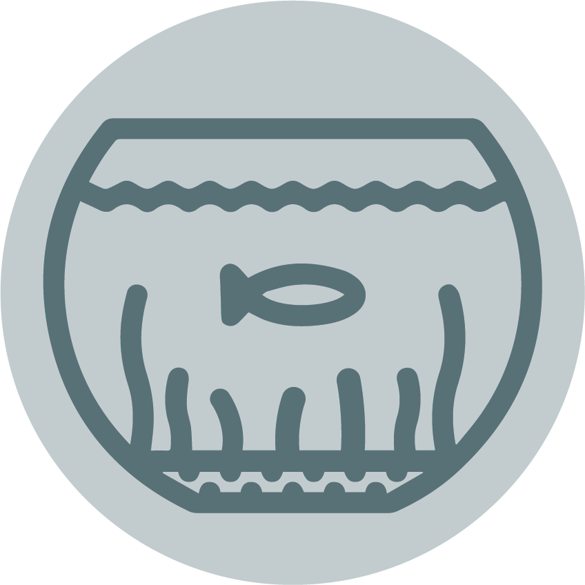 Pet Coupons - 无线 安全 (848x848), Png Download