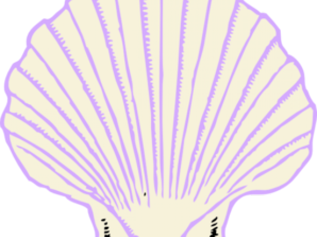 Shell Clipart Purple Shell - Shell Clip Art (640x480), Png Download
