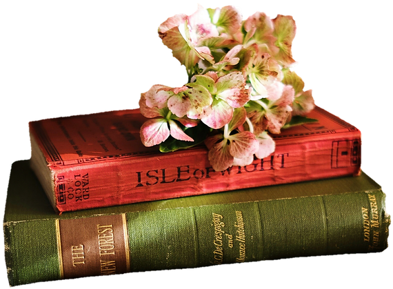 Books, Read, Literature, Pitched, Old Books, Deco - Book Flower Wallpaper Iphone (960x666), Png Download