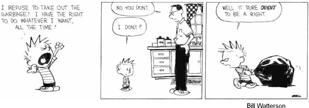 [protest] Helping Around The House - Calvin And Hobbes Chores (1278x461), Png Download