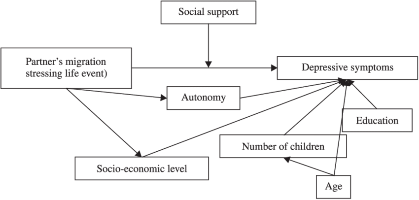 Conceptual Framework Based Upon Brown & Harris, - Diagram (850x406), Png Download