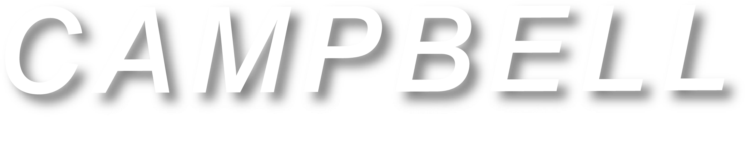 Campbell Commercial Real Estate, Inc - Statistical Graphics (2692x593), Png Download