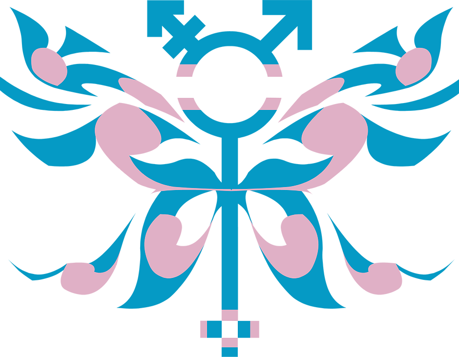 Symbol - Transgender (940x731), Png Download