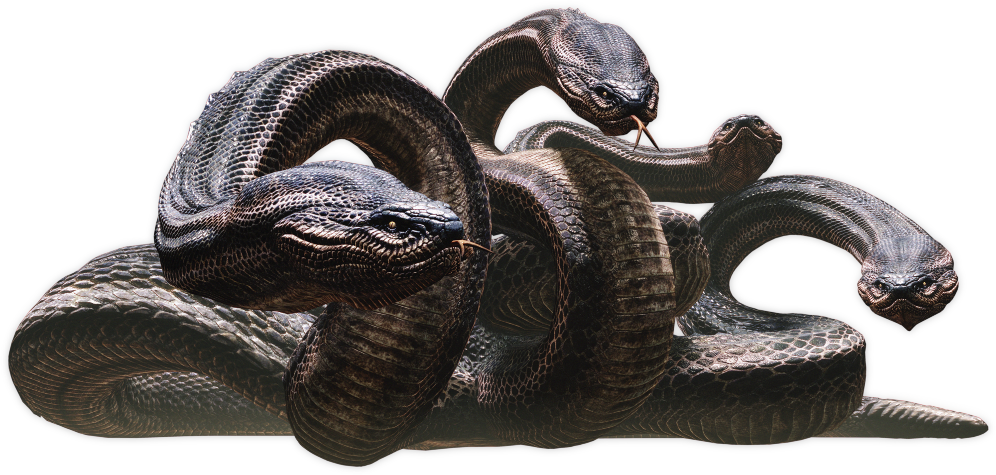 Snake Monster Concept Art (2000x954), Png Download