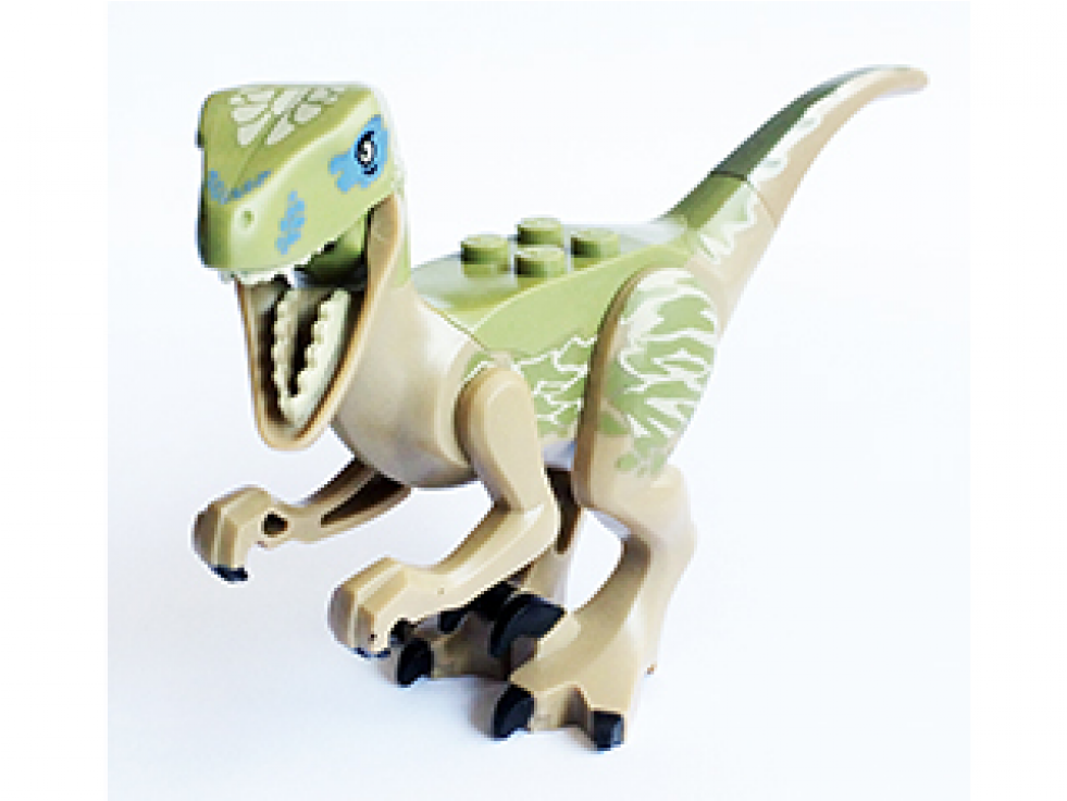 Raptor06-980x980 - Lego Jurassic World Raptor Delta (980x980), Png Download
