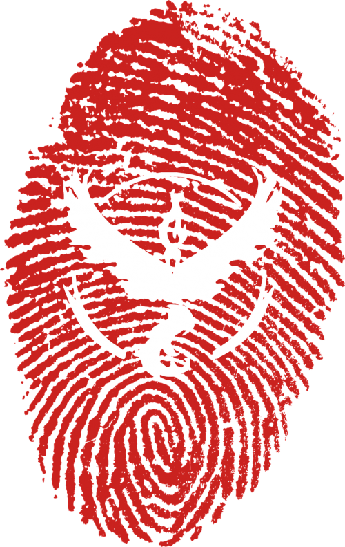 Pokemon,pokemon Go,valor,game,online Game,team,teamwork, - Pokemon Go Valor Png (500x791), Png Download
