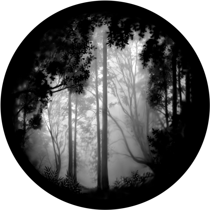 Forest Misty - Black And White Scenery (800x800), Png Download
