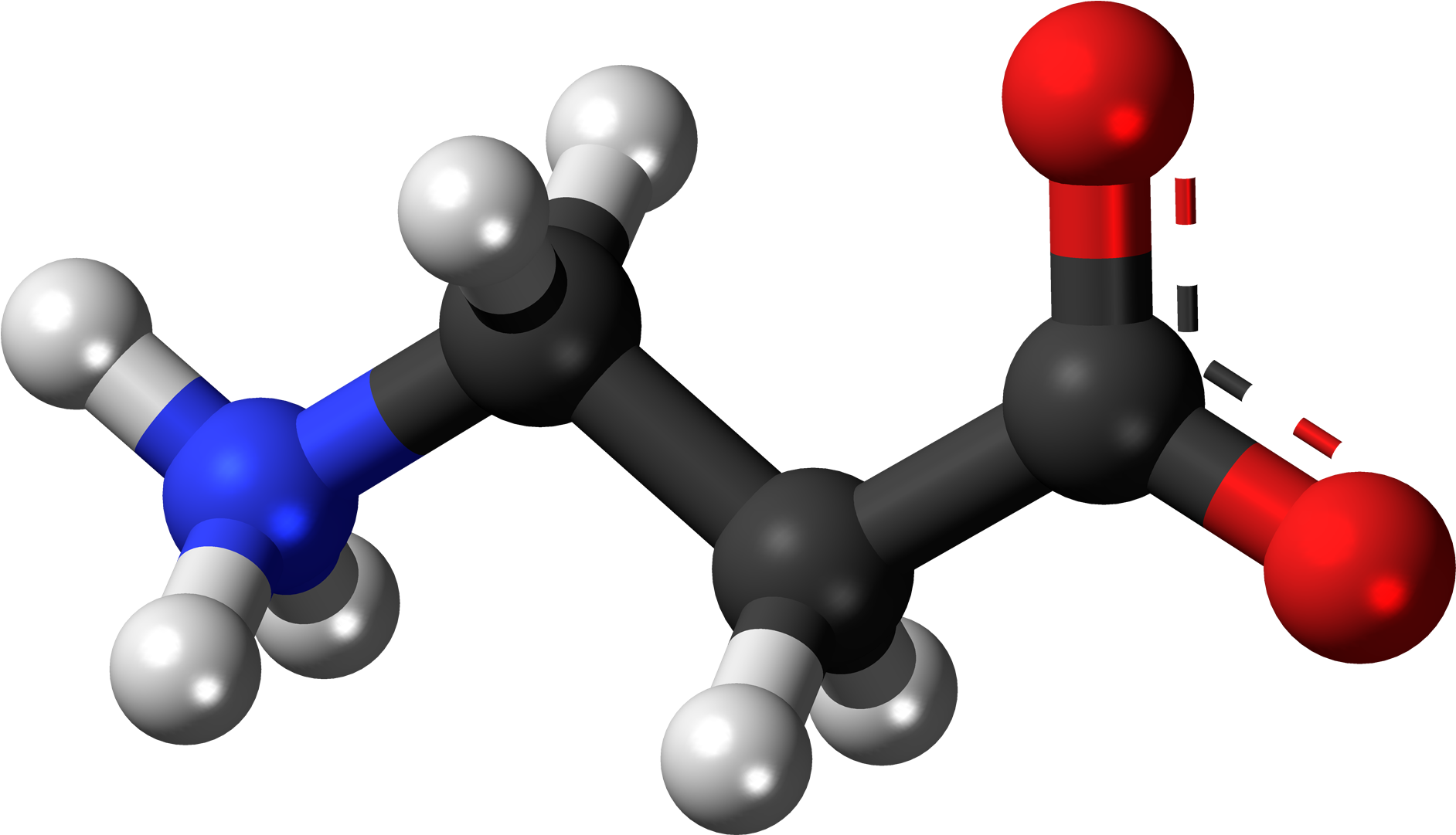 Beta Alanine Zwitterion 3d Balls - Volatile Organic Compounds Molecule (2000x1197), Png Download