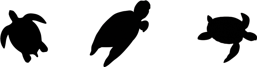 Save The Sea Turtles - Green Sea Turtle (1047x326), Png Download