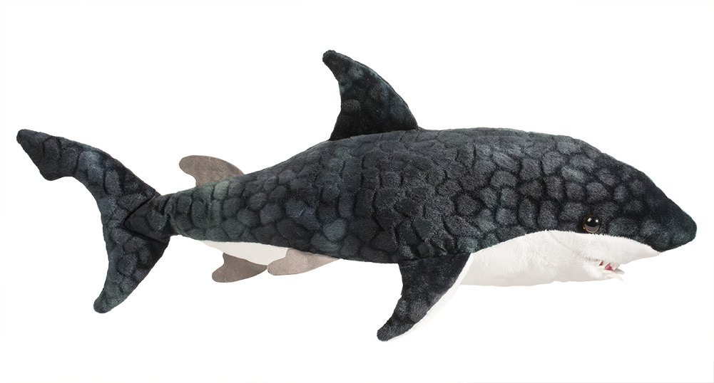 Neptune Blue Shark - Shark (1000x1000), Png Download