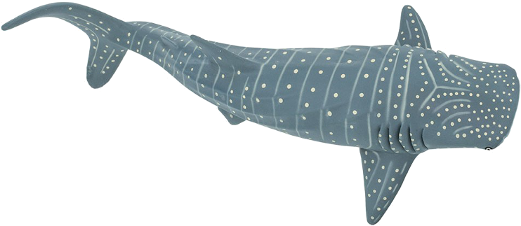 Buy Action Figure Safari Whale Shark 210602 Elkor - Shark (800x800), Png Download