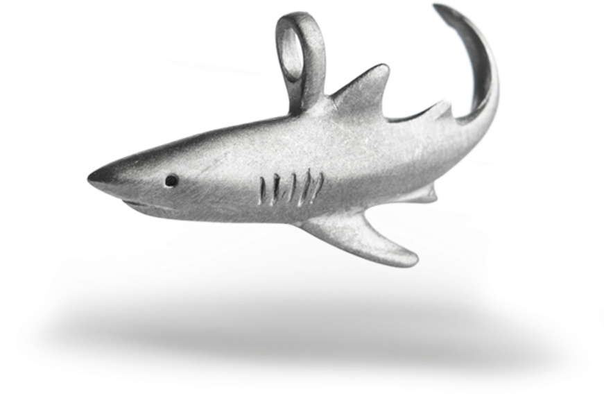 Tiger Shark (1024x1024), Png Download