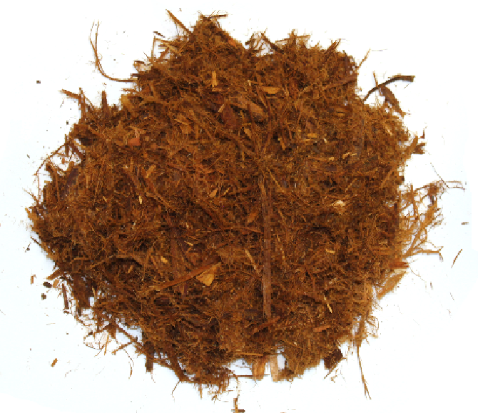 Cedar - Rooibos (670x579), Png Download
