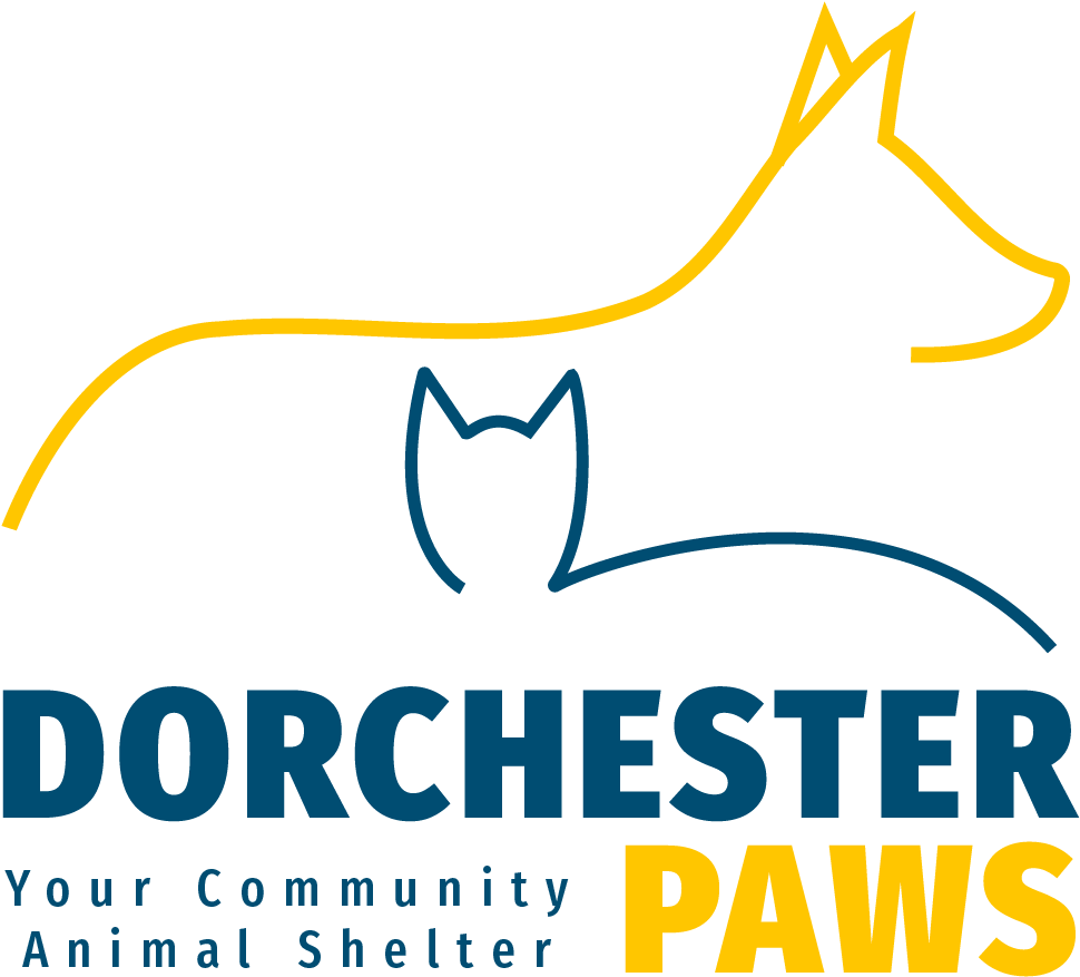 Color Vertical Logo - Graphic Design (969x884), Png Download