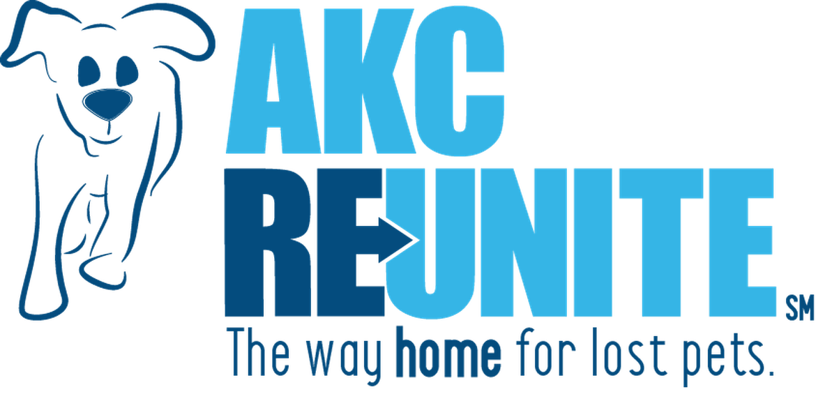 See Some Of The Brands We Carry - Two Blue Color Logo (1170x565), Png Download