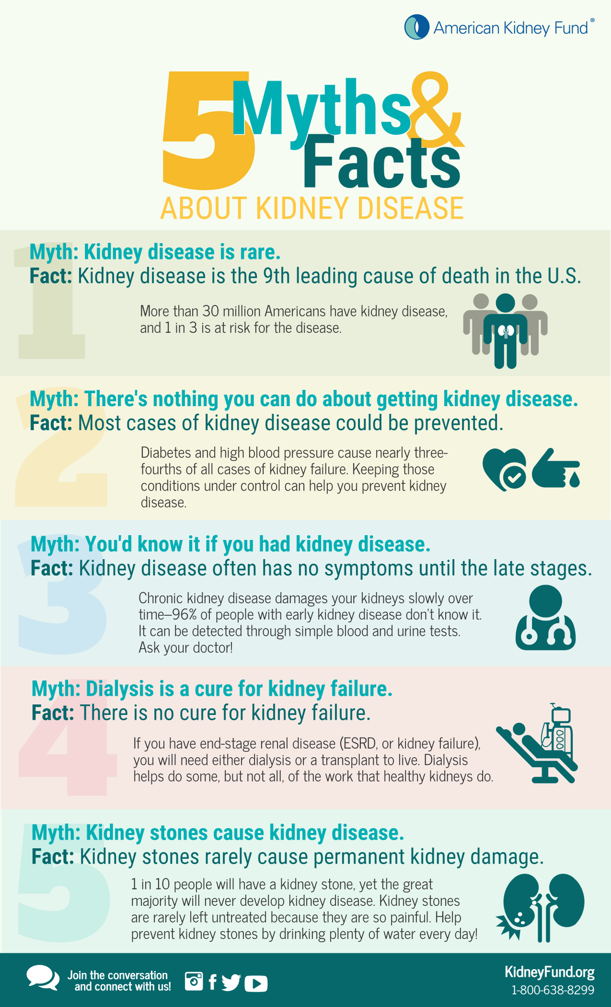 American Kidney Fundverified Account - Colorfulness (1243x2048), Png Download