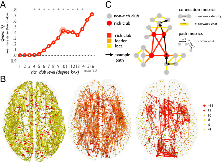Rich Club Curve Relative To Random Model, Showing A - Teoria Dei Grafi Cervello (850x625), Png Download